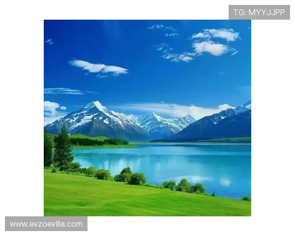 开运官网为用户提供专业的开运咨询服务，解决你在运势提升中的各种疑问