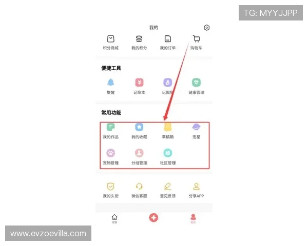 开云官方app入口最新指南，轻松访问开云官方平台全功能体验推荐